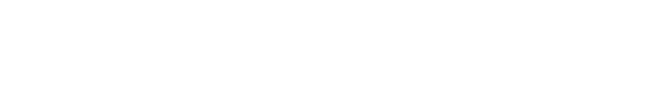 Coinflare-Logo-White